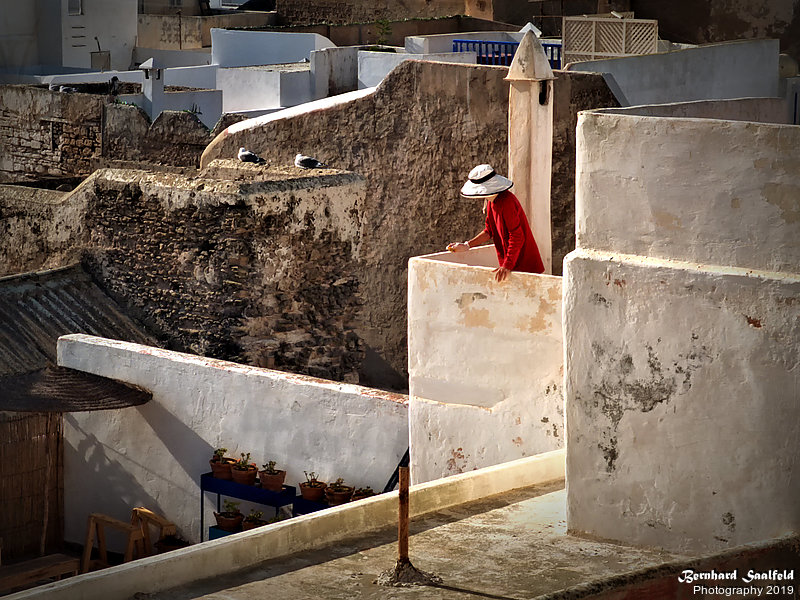 Bernhard Saalfeld - Red Lady at Essaouira